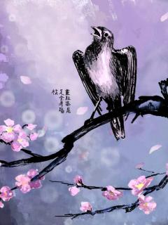 Other Wallpapers 0702